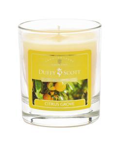 Citrus Grove Scented Candle