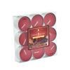 Cinnamon & Clove Scented Tealights