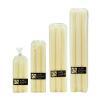 Cream Ivory Dinner Candles
