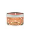 Nutmeg & Ginger Scented Tin Candle