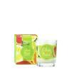 Citrus Burst Scented Travel Candle